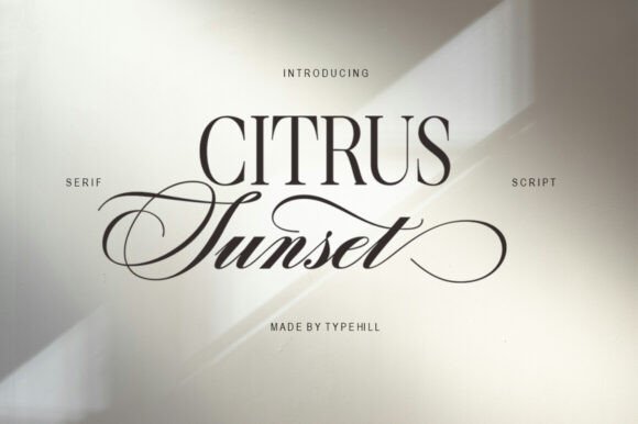 Citrus Sunset: A Font That Adds Personality to Branding