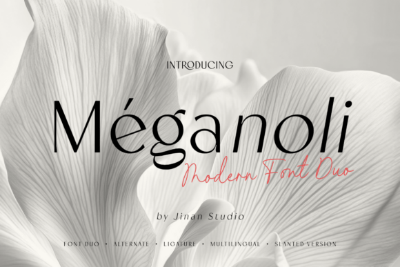 Meganoli Duo: A Font That Elevates Digital Branding